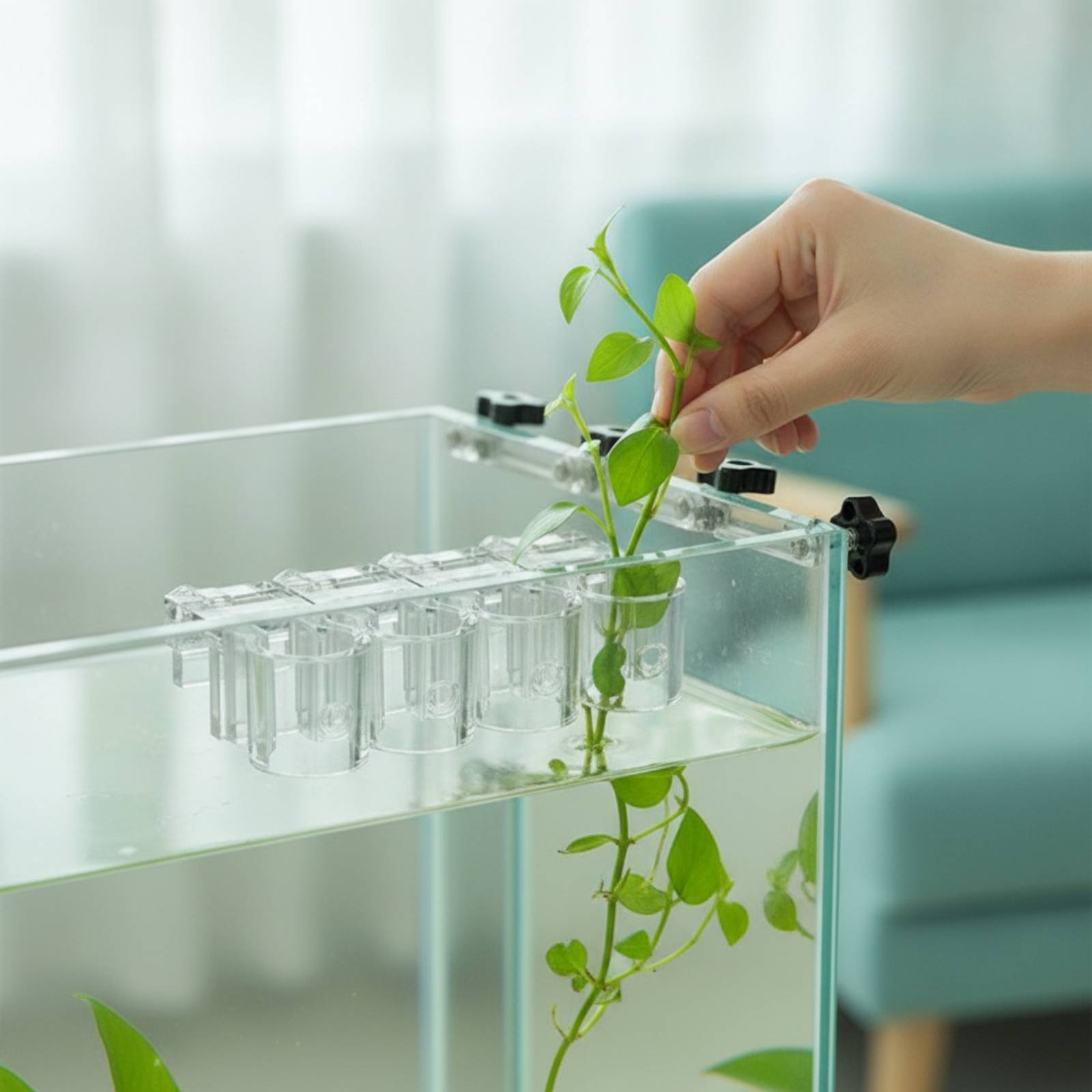 Aquarium Plant - 6 Stück Aquarium-Pflanzhalter, transparente Hydrokultur-Stützklammern mit