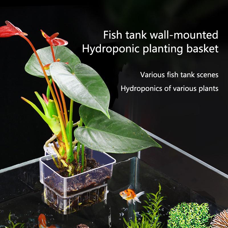 Aquarium Planted Set Up - Aquarium Hydroponik-Pflanzbecher 2 5 10 Stück