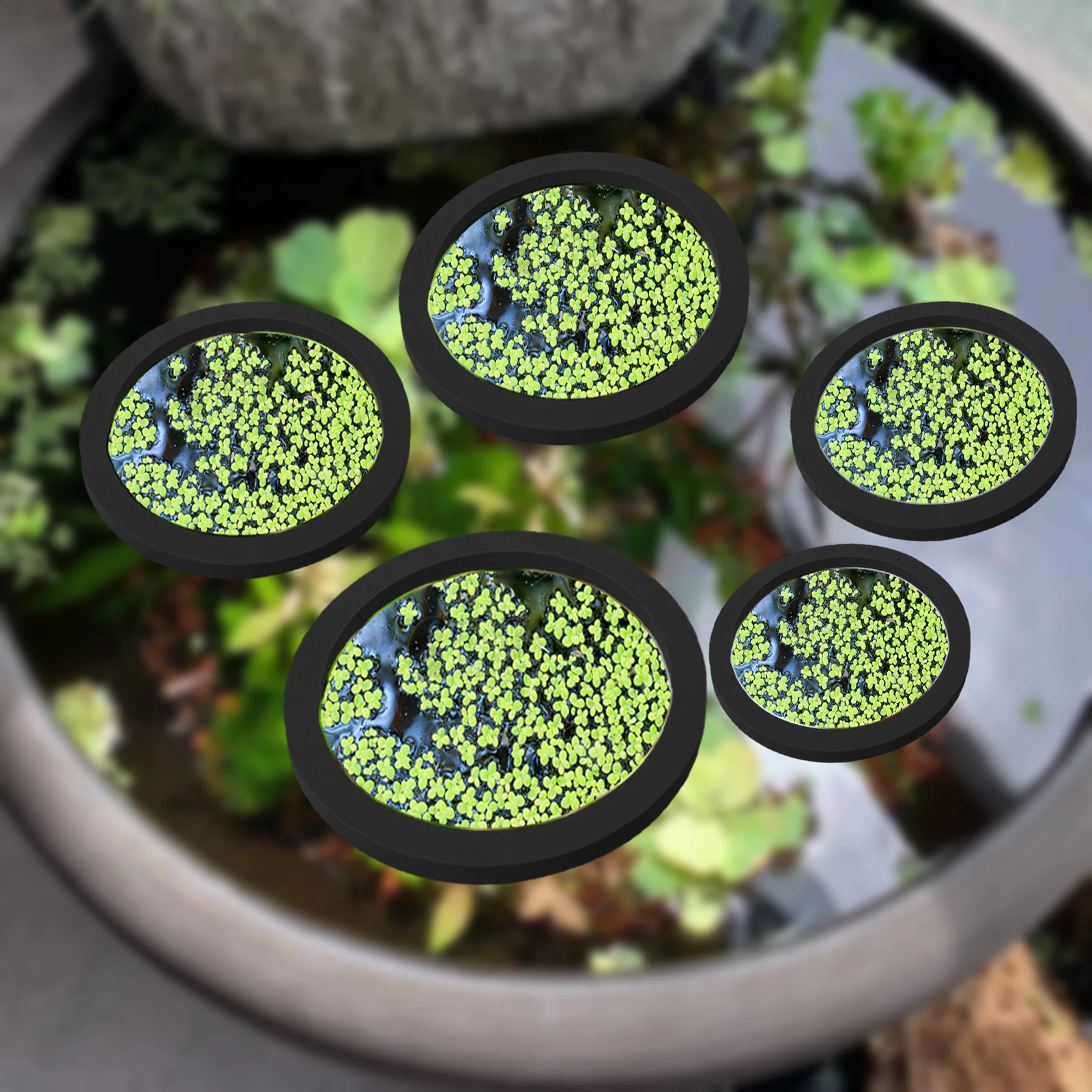 Aquarium Plant - 5Pcs EVA Fisch Fütterung Ring Aquarium