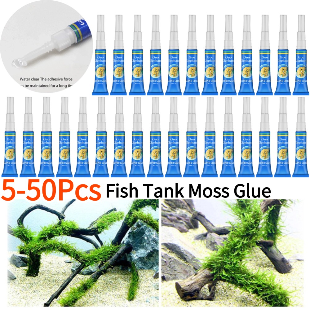 Aquarium Plant Glue - 50-5Pcs Aquarium Landschaftsbau Moos Kleber Aquarium