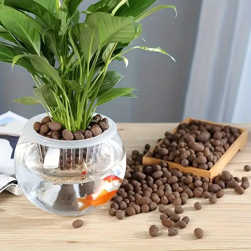 Leichte und atmungsaktive Terr – Aquarium Plant Bewertung und Preis