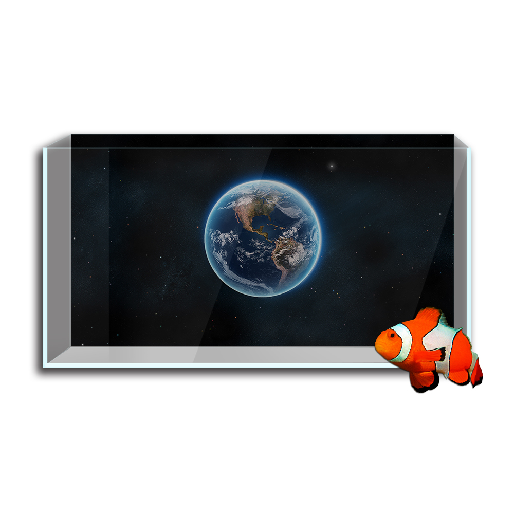 Aquarium Aquarium Hintergrund  – Aquarium Planet Bewertung und Preis