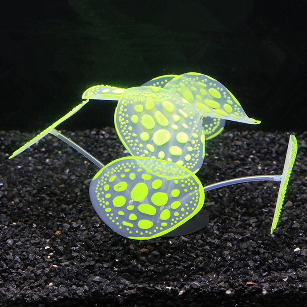 Silikon Silikon leuchtende Pfl – Aquarium Planet Bewertung und Preis
