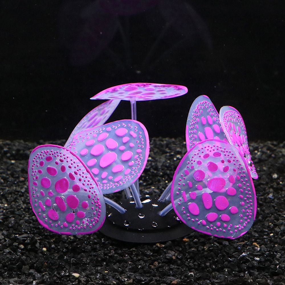 Silikon Silikon leuchtende Pfl – Aquarium Planet Bewertung und Preis