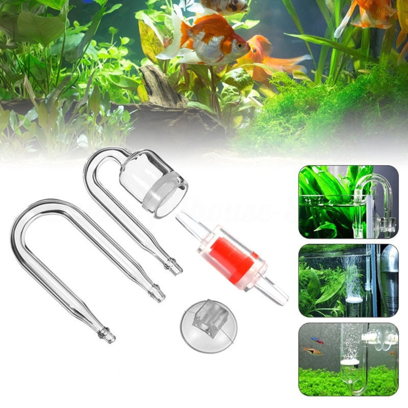 4 stücke Set DIY CO2-Diffusor  – Aquarium Plant Echinodorus Bewertung und Preis