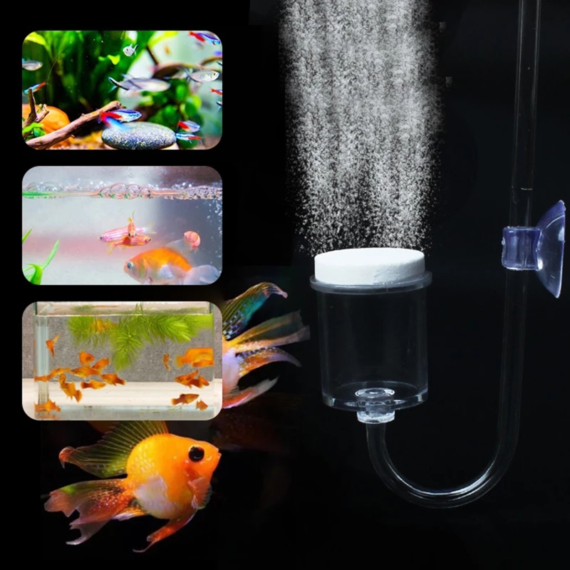 4 stücke Set DIY CO2-Diffusor  – Aquarium Plant Echinodorus Bewertung und Preis