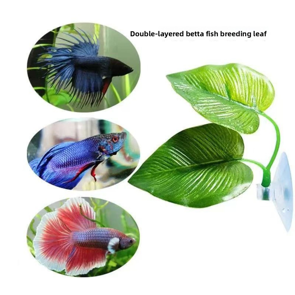 1/3/5/10 Betta Aquarium Künstl – Aquarium Planted Set Up Bewertung und Preis