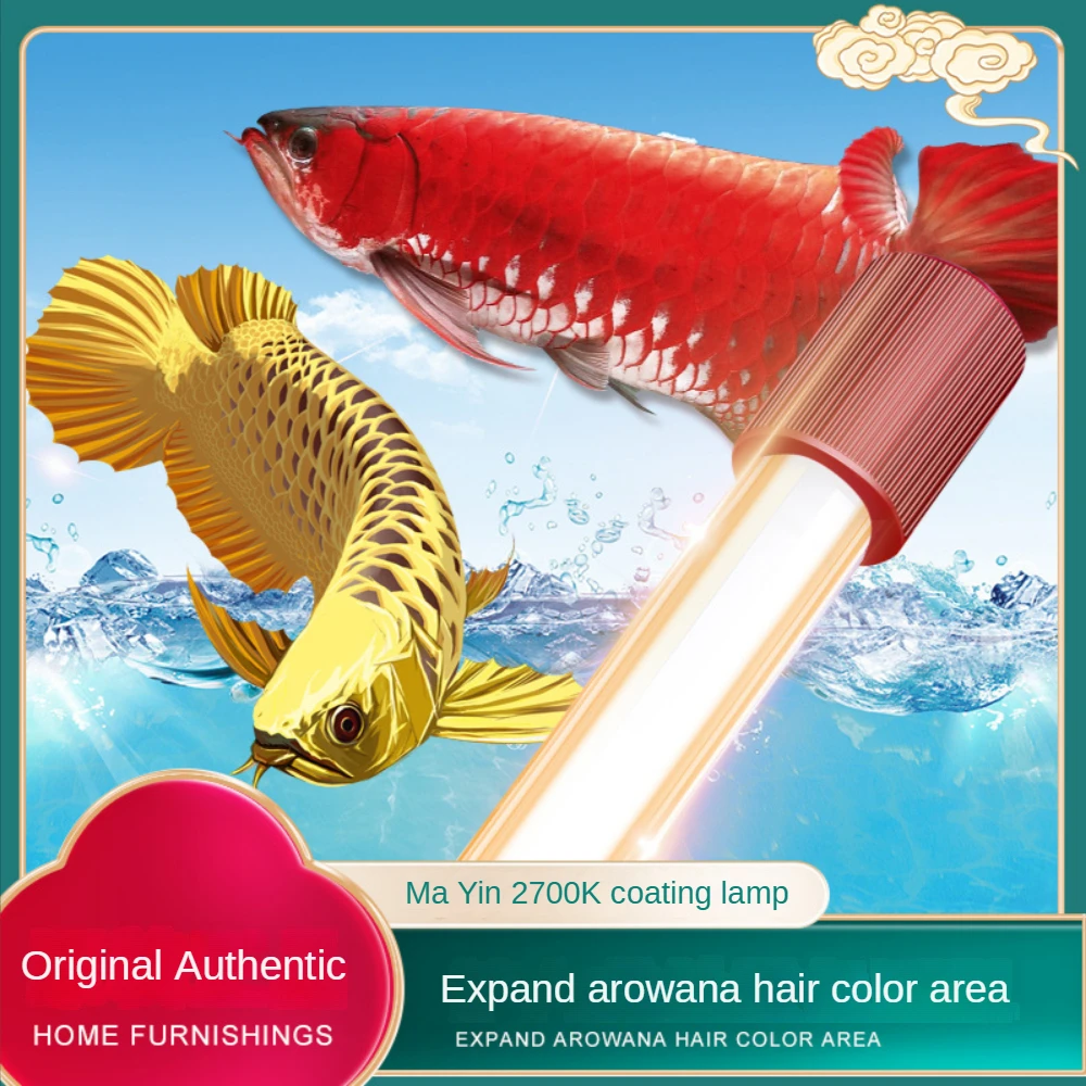 Glas Arowana Aquarium Licht, t – Planted Aquarium Yellow Water Bewertung und Preis
