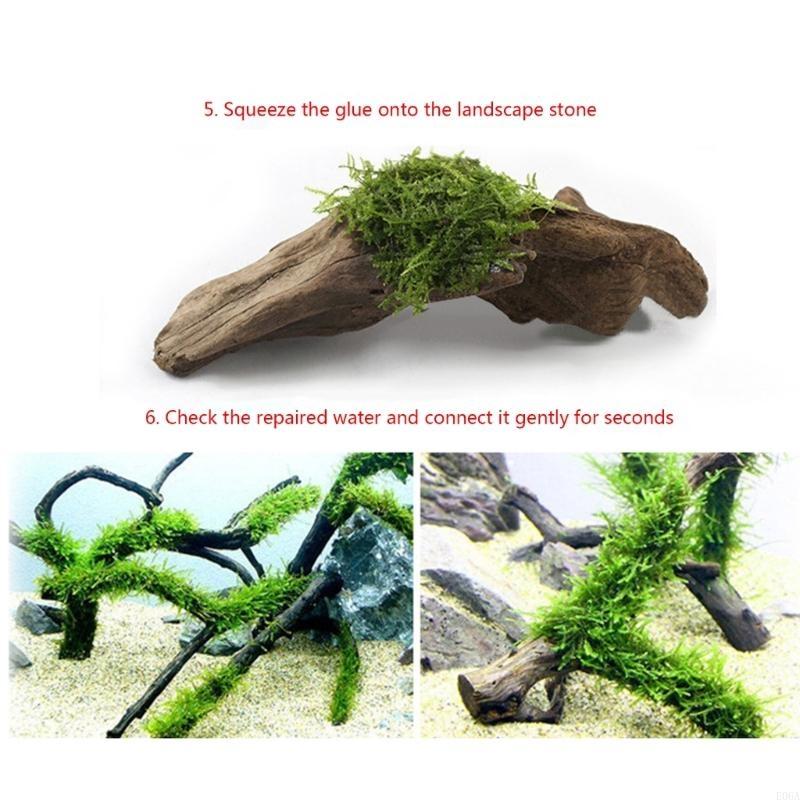 25 Stück Aquarium für Landscha – Aquarium Plant Glue Bewertung und Preis