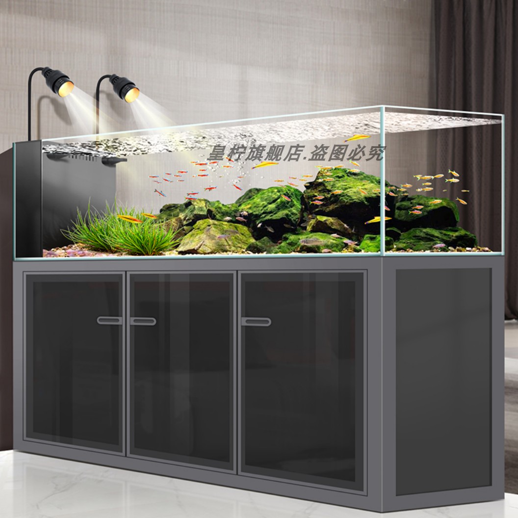 Yjq Industrielles Windstrom-Aq – Aquarium Plant Echinodorus Bewertung und Preis
