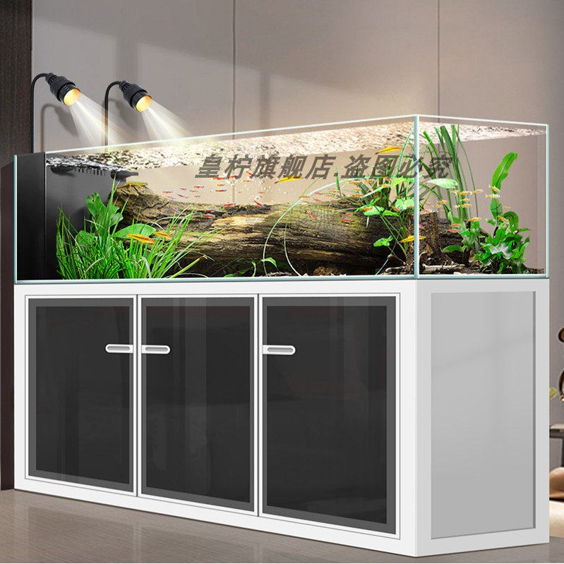 Yjq Industrielles Windstrom-Aq – Aquarium Plant Echinodorus Bewertung und Preis