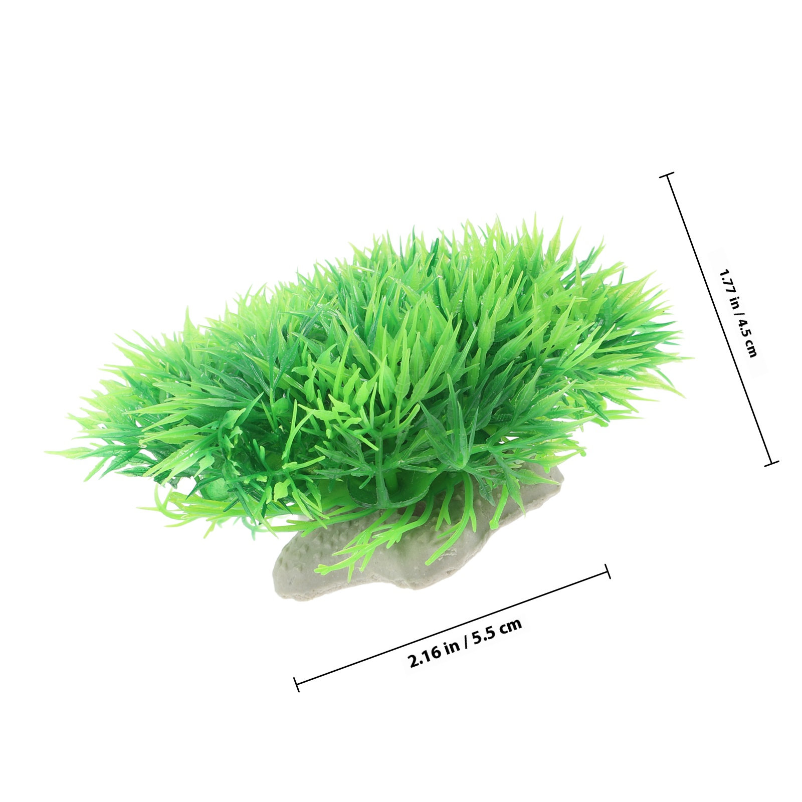 6 Stück lebensechte Aquariumpf – Aquarium Planted Set Up Bewertung und Preis