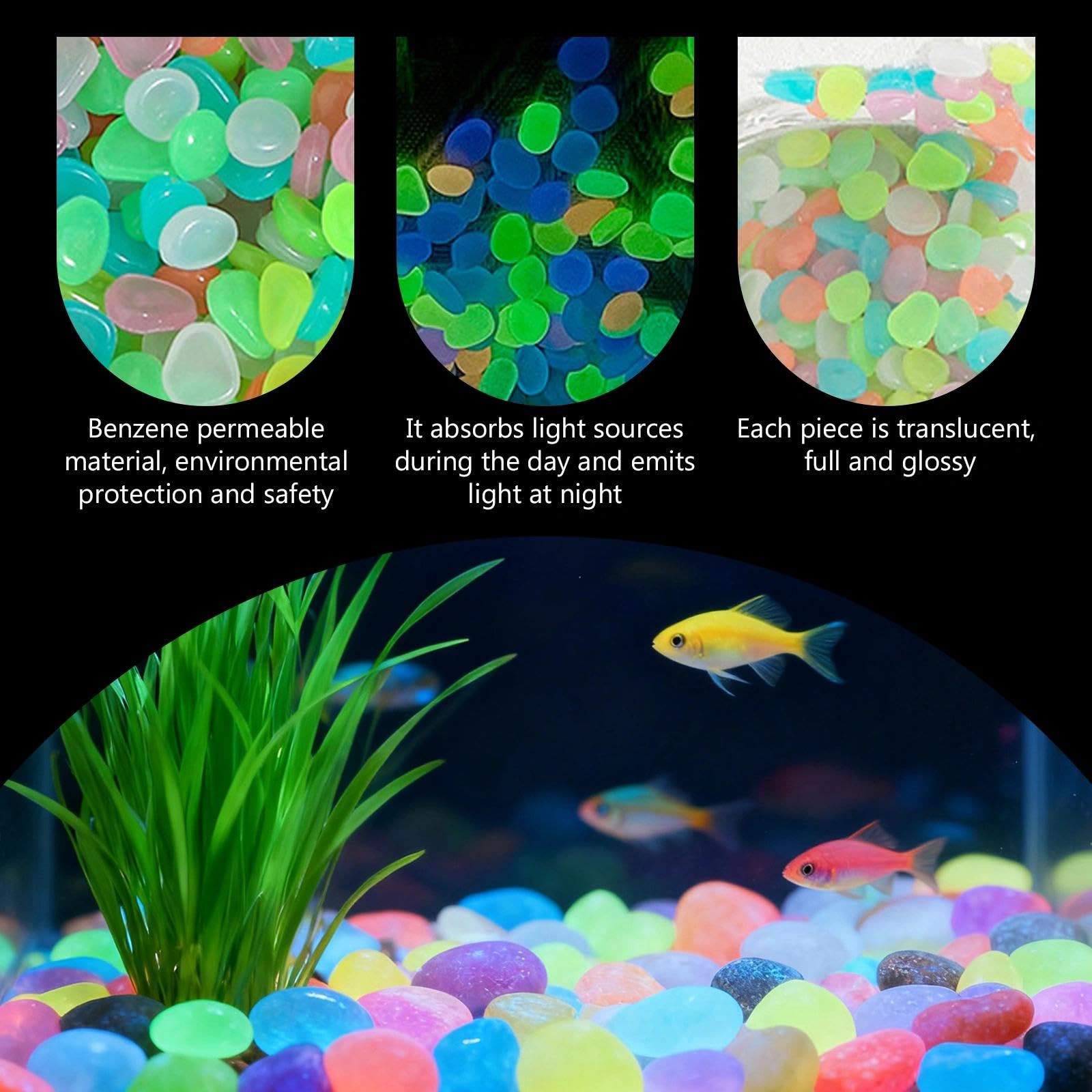 Topfpflanzen, die im Dunkeln l – Aquarium Plant Bewertung und Preis