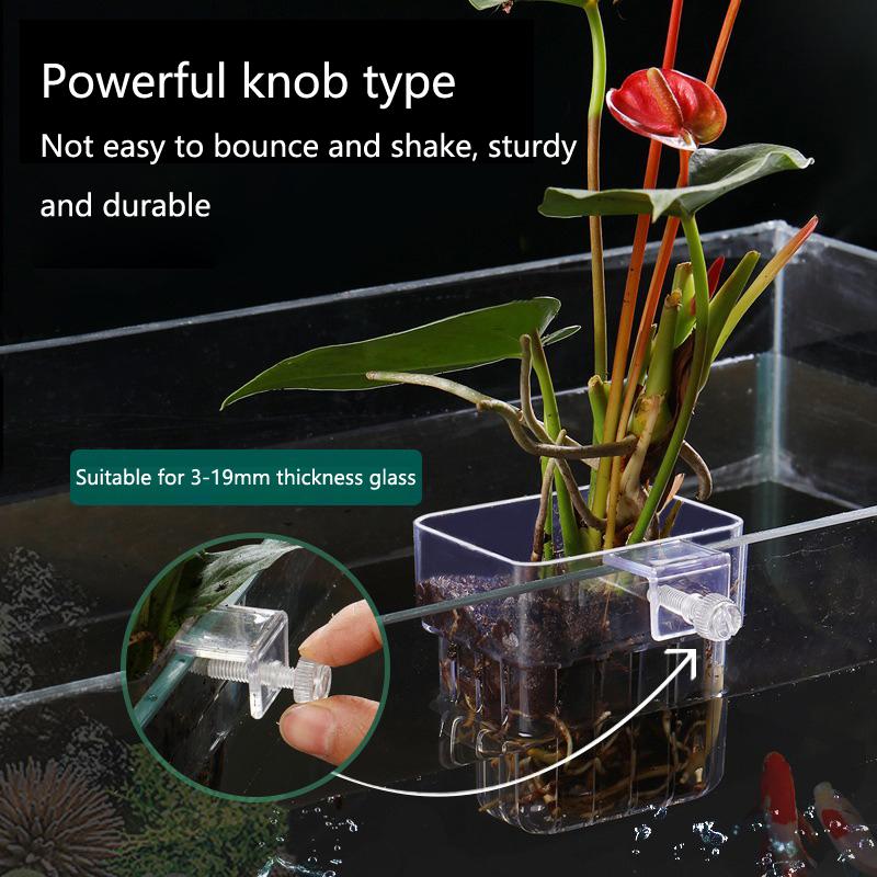 Aquarium Hydroponik-Pflanzbech – Aquarium Planted Set Up Bewertung und Preis