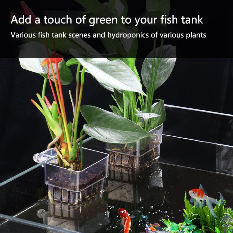 Aquarium Hydroponik-Pflanzbech – Aquarium Planted Set Up Bewertung und Preis
