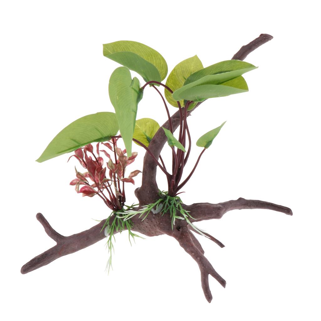 Reptilien-Terrarium-Pflanze, k – Planted Aquarium Jungle Bewertung und Preis