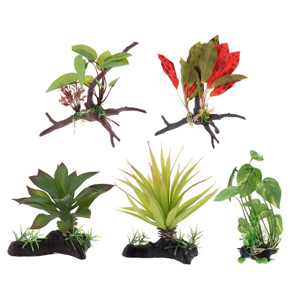 Reptilien-Terrarium-Pflanze, k – Planted Aquarium Jungle Bewertung und Preis