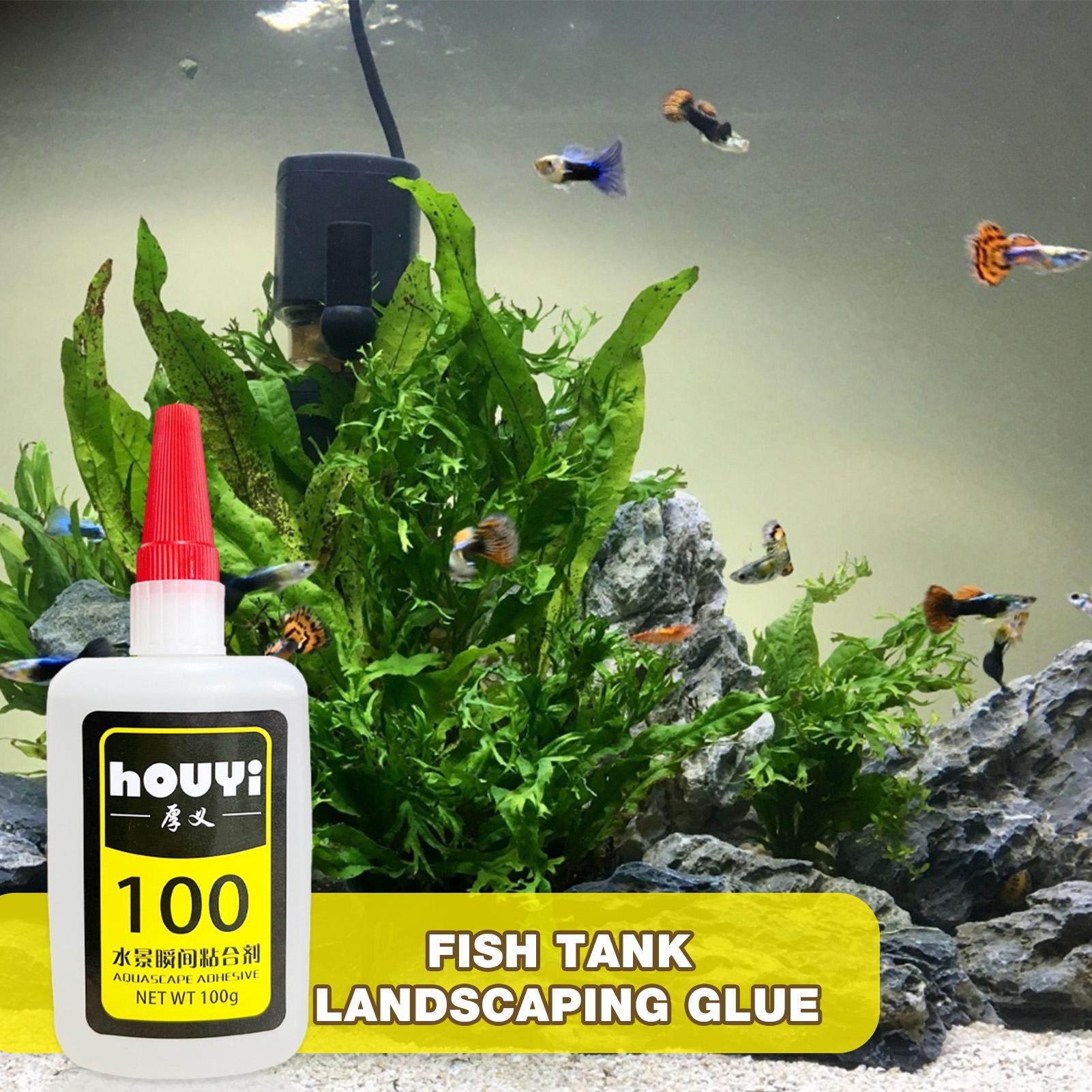 50/100 g klarer Sofortkleber,  – Aquarium Plant Glue Bewertung und Preis