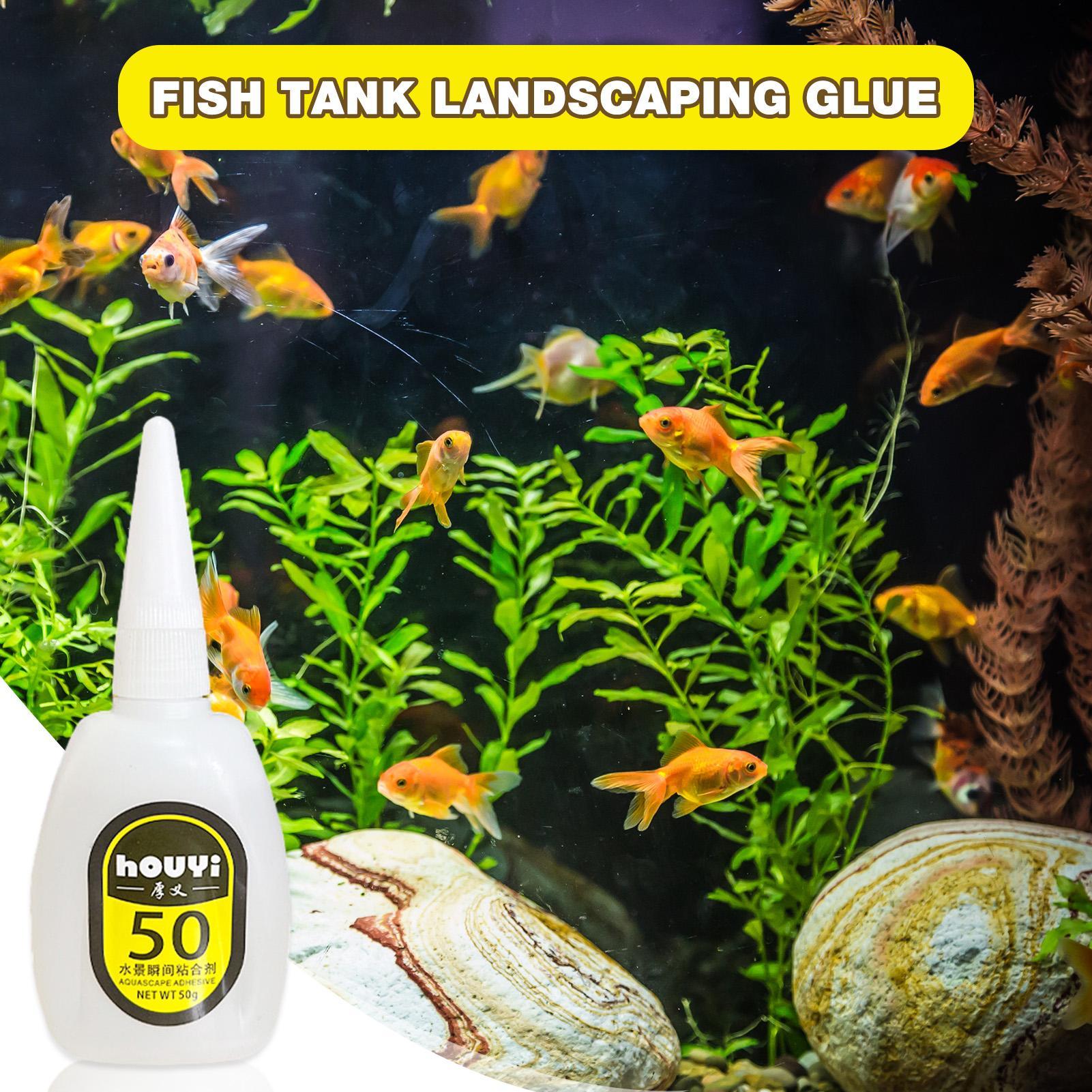 50/100 g klarer Sofortkleber,  – Aquarium Plant Glue Bewertung und Preis