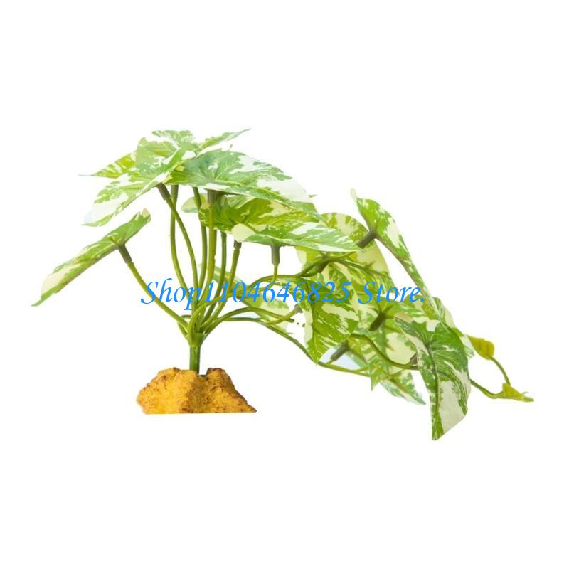 Aquarien Reptilien Dschungel G – Planted Aquarium Jungle Bewertung und Preis