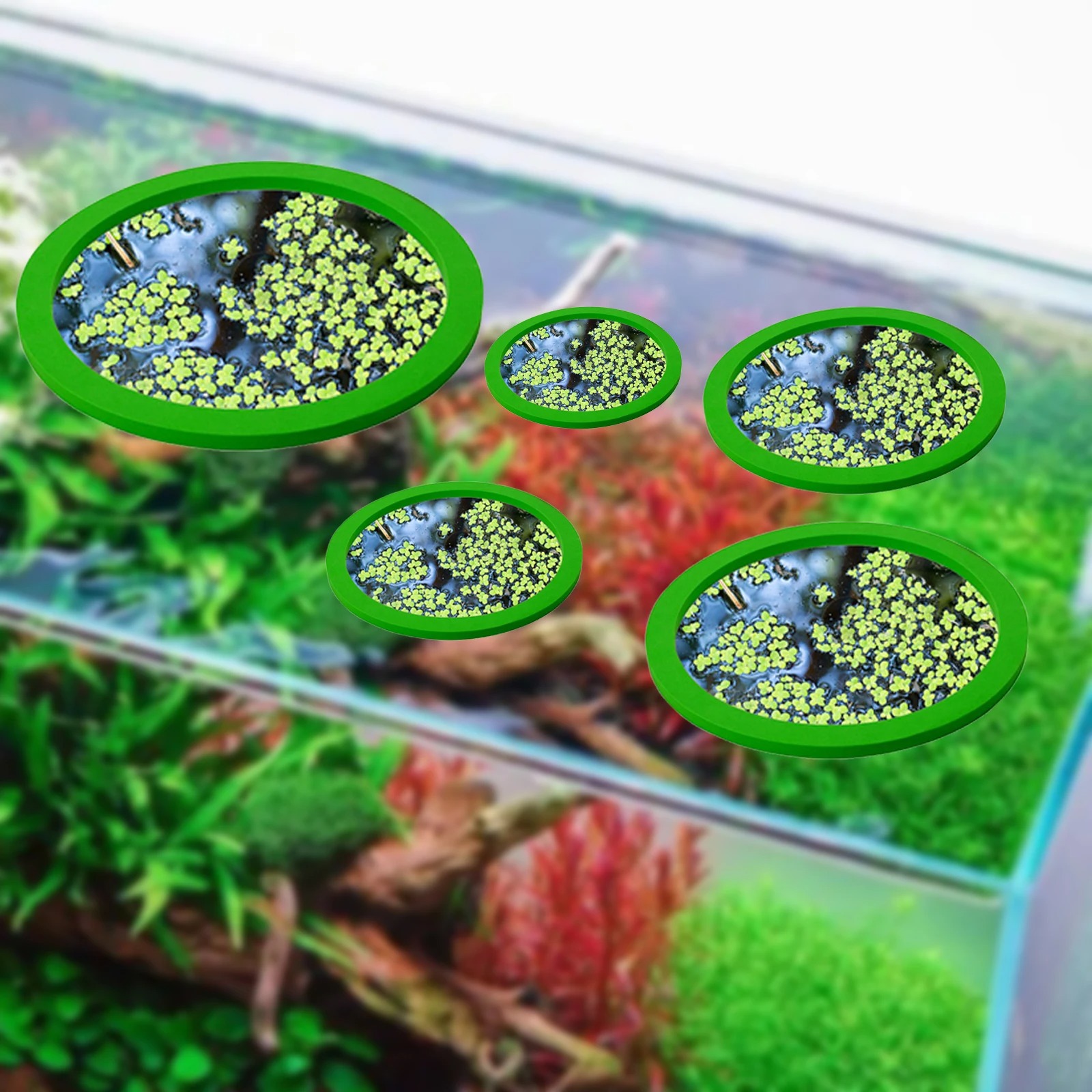 5Pcs EVA Fisch Fütterung Ring  – Aquarium Plant Bewertung und Preis