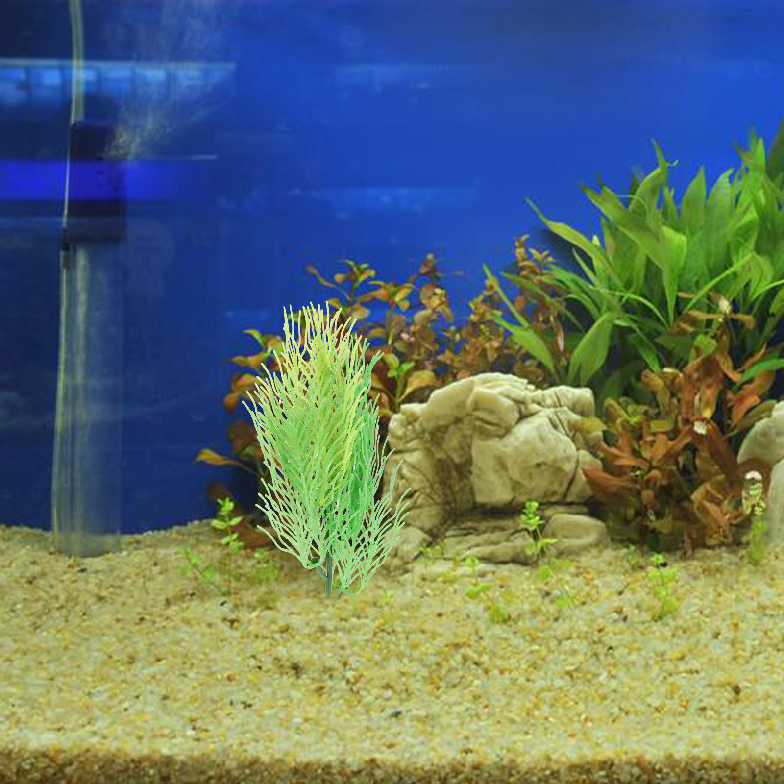 Simulierte Hornkraut-Aquarienp – Aquarium Planted Set Up Bewertung und Preis