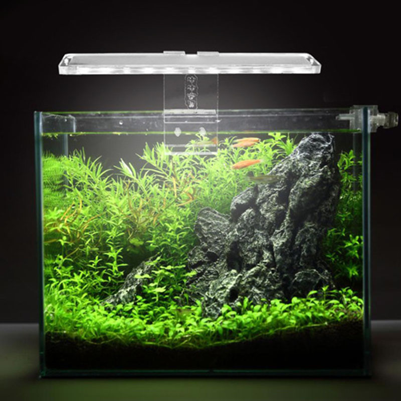 LED Aquarium Lampe Pflanze Lic – Planted Aquarium Price Bewertung und Preis