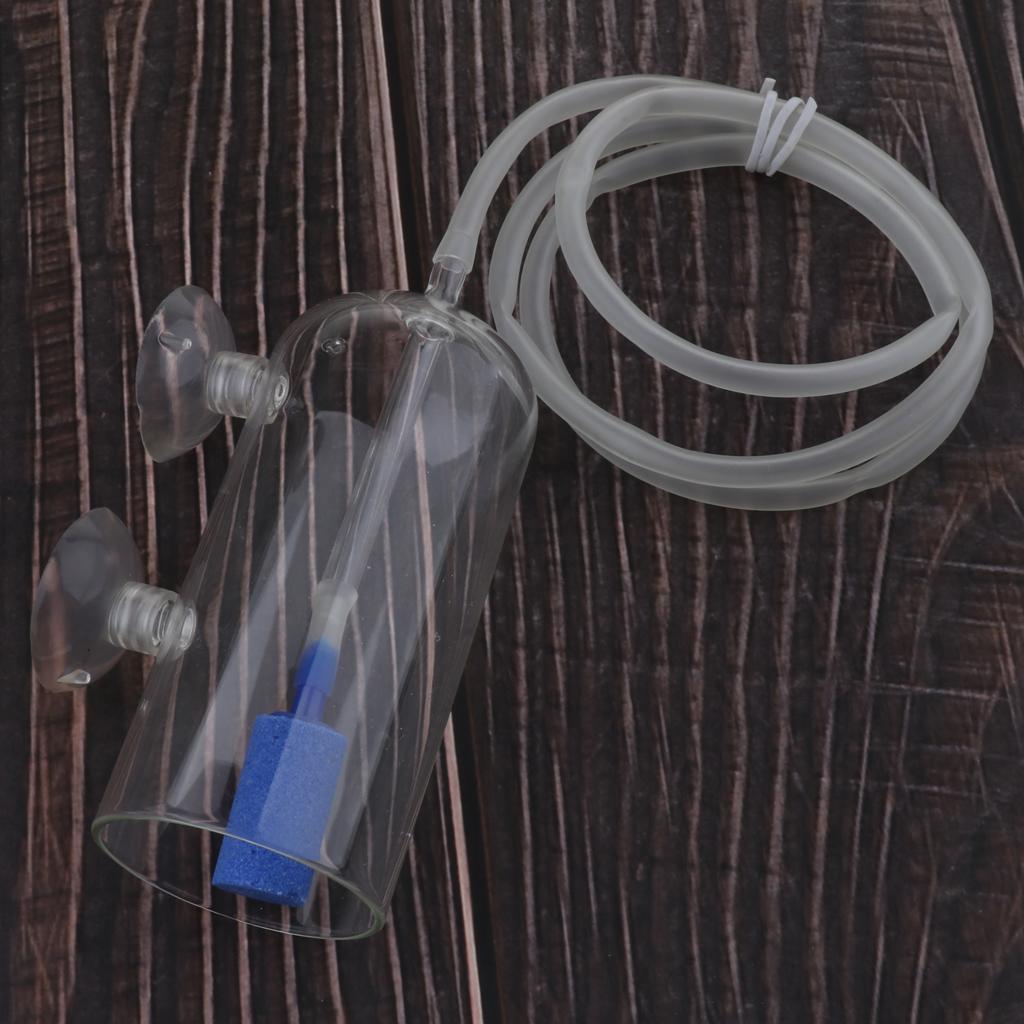 CO2-Diffusorsystem für gepflan – Planted Aquarium Co2 System Bewertung und Preis