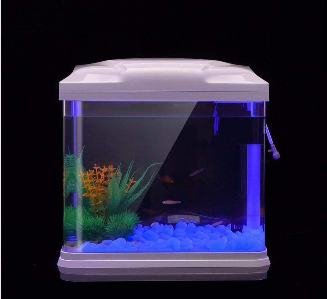 Aquarium-Felsen leuchten blaue – Aquarium Plant Bewertung und Preis