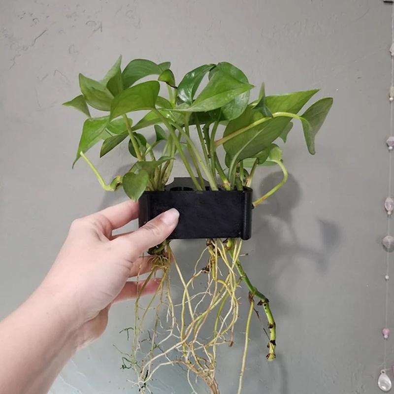 1 2 3 Stück Aquarium-Pflanzens – Aquarium Planted Set Up Bewertung und Preis