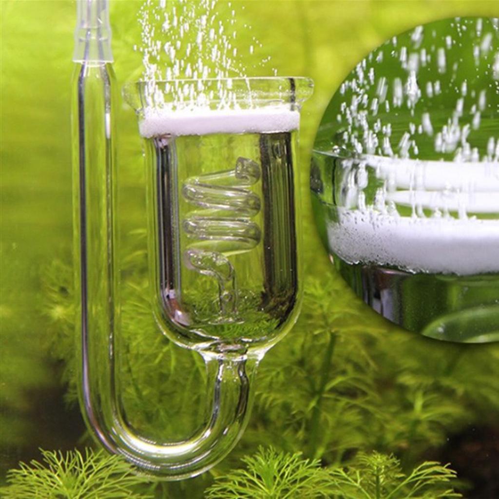 Langlebiger Glas-CO2-Diffusor  – Aquarium Planted Set Up Bewertung und Preis