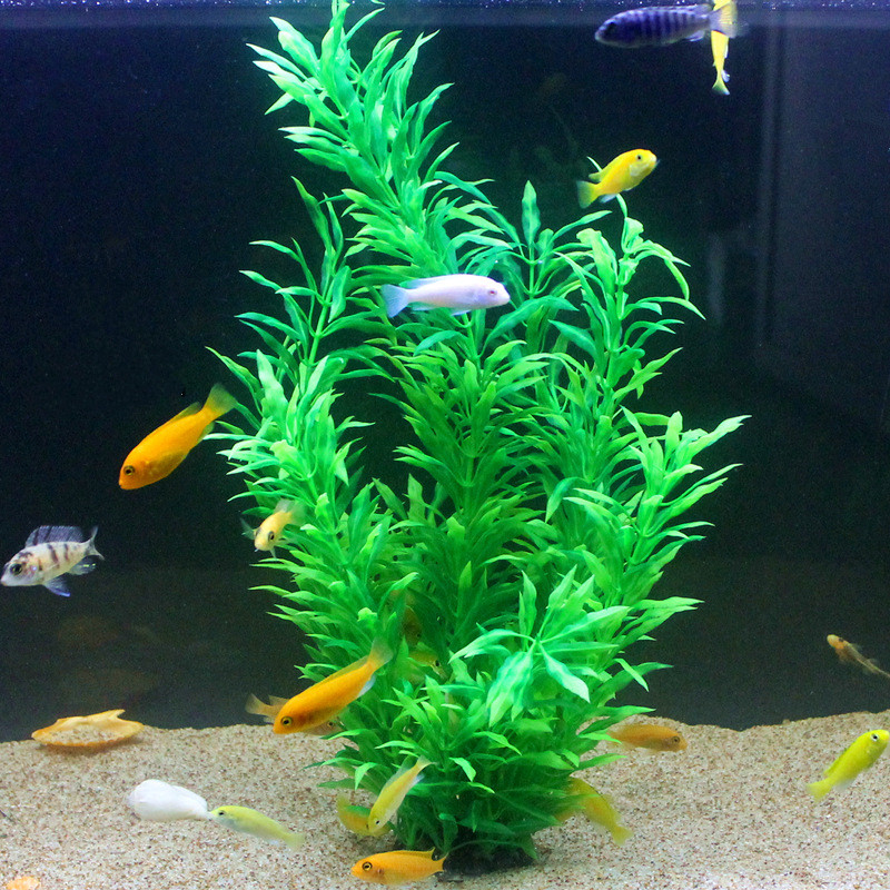 50CM Künstliche Aquarium Selte – Aquarium Plant Bewertung und Preis