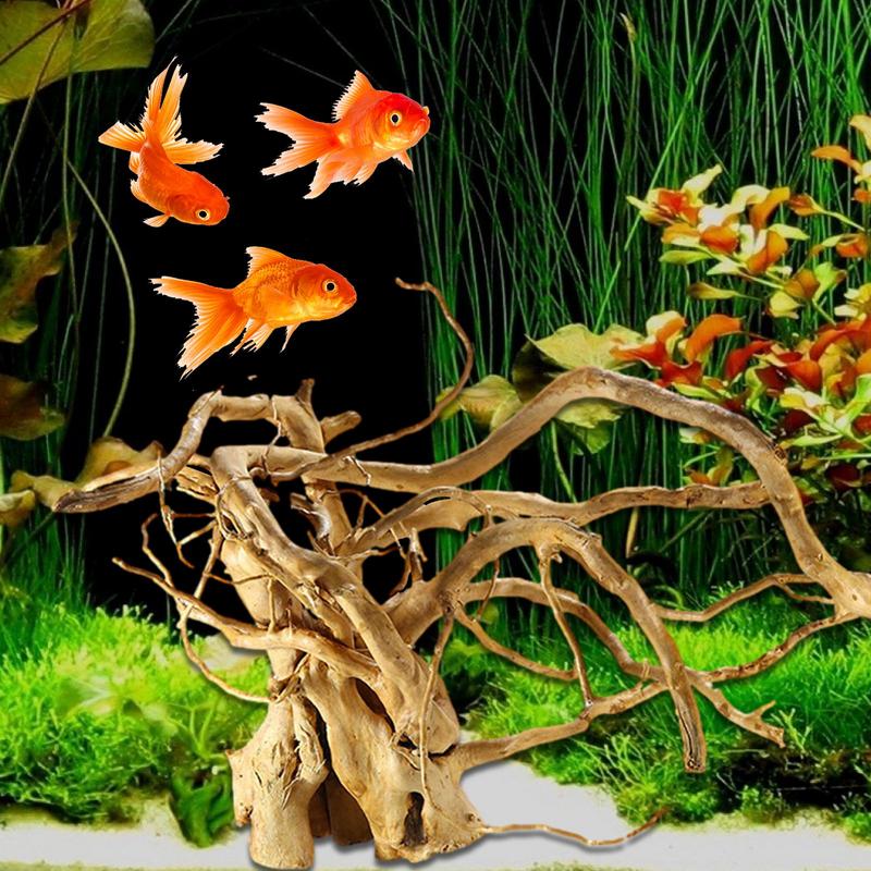 Aquarium Treibholz Dekoration  – Aquarium Plant Glue Bewertung und Preis