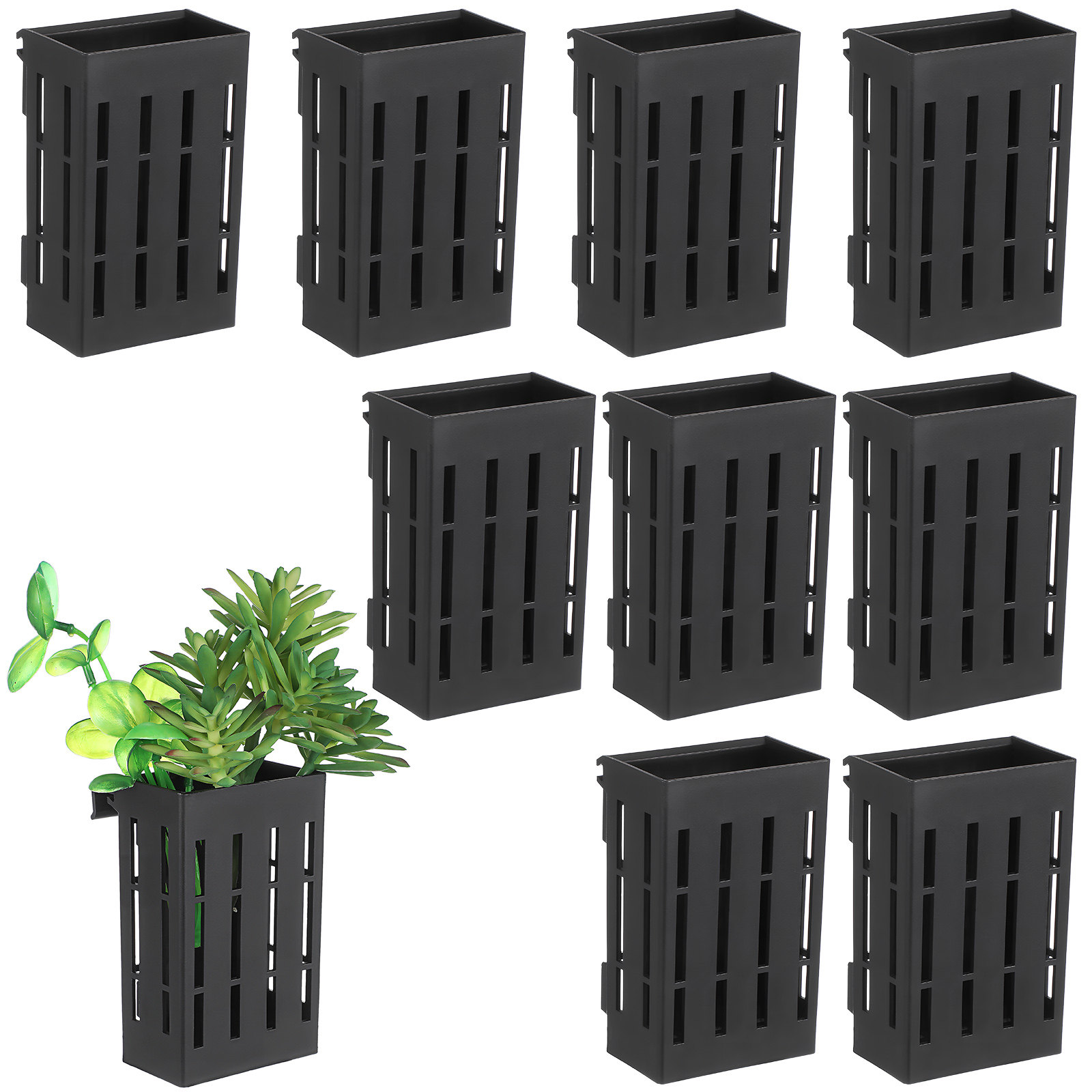 10 Stück Aquatische Pflanzenkö – Aquarium Plant Bewertung und Preis