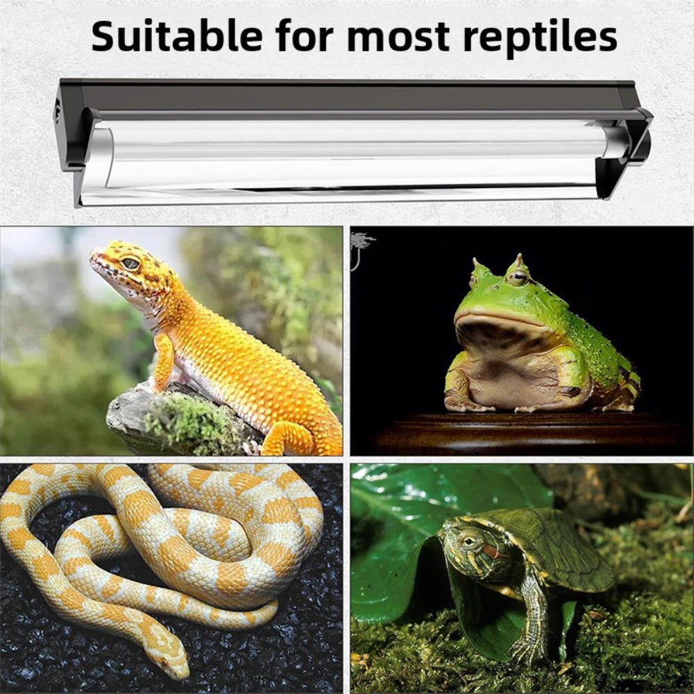 Pflanzte und Reptilien-Terrari – Led Planted Tank Light Bewertung und Preis